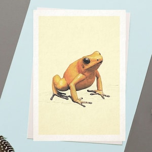 Golden Poison Frog Greeting Card | Wildlife Greeting Card | Wild Animal Card | Nature Greetings Cards