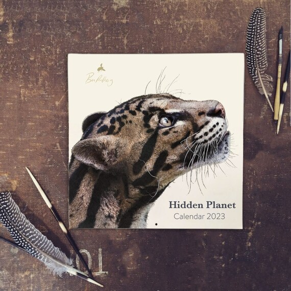 Hidden Planet 2023 Calendar - Etsy Canada Hidden Planet 2023 Calendar - Etsy Canada