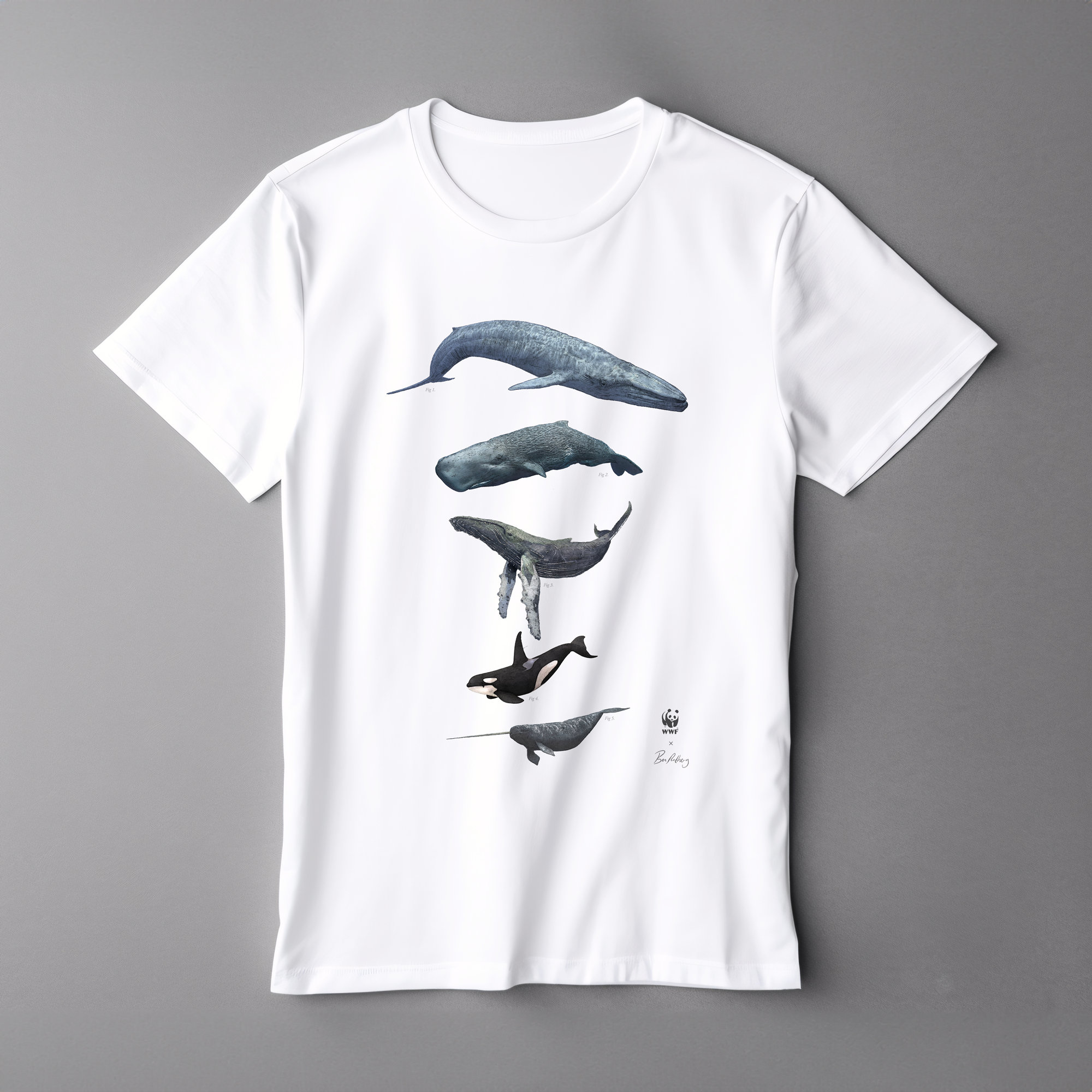 T shirt wwf sale