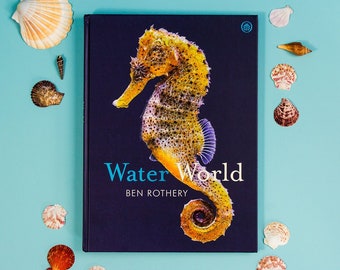 Water World | Natural History Book | Sealife | Ocean | Marine life | Ben Rothery | Ladybird