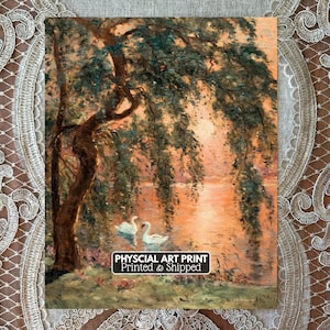 PRINTED | Swans in the Sunset Under a Willow Tree | Vintage Farmhouse Art Print