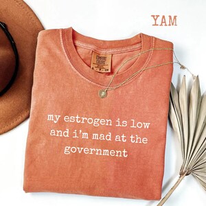 K&ouml;nnte beinhalten: Ein terrakottafarbenes T-Shirt mit Rundhalsausschnitt und dem wei&szlig;en Aufdruck 'my estrogen is low and i'm mad at the government'. Das T-Shirt hat ein Comfort Colors-Markenetikett am inneren Halsausschnitt und wird mit einer Goldkette pr&auml;sentiert.
