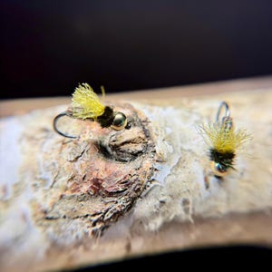 Cased Caddis Nymph – Sizes 12 & 14 | Barbless Jig Hook | (3Pack)