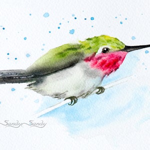 HUMMINGBIRD PRINT - i