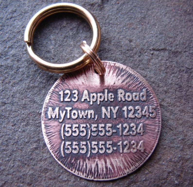 Pet ID Tag Pheasant Hunting Dog Etched Brass Personalized Etsy