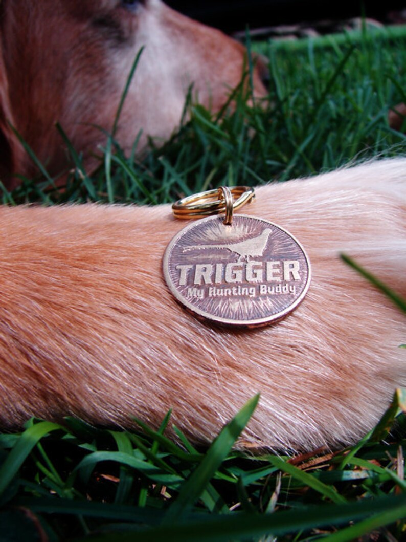 Pet ID Tag Pheasant Hunting Dog Etched Brass Personalized Etsy