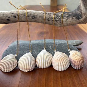 May include: Five seashell ornaments with gold string hangers. The shells are cream and tan with ribbed textures. Each shell has a small white bead at the top. The ornaments are hanging from a piece of driftwood.