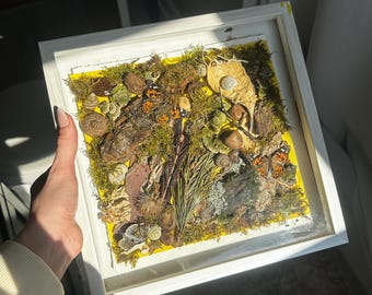 Handaufgezogene Schmetterlings-Schattenkastenkunst | Distelfalter Schmetterlinge | Echte Natur Display | Moos, Rinde & Futterelemente | Cottagecore Mauer Deko