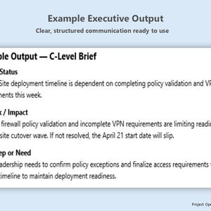 May include: A white rectangular graphic with the title "Example Output - C-Level Brief" and text detailing project status, risks, and next steps. The text is in black font on a white background, with a light blue background.