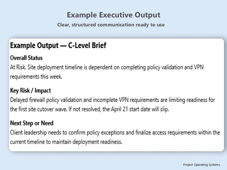 May include: A white rectangular graphic with the title "Example Output - C-Level Brief" and text detailing project status, risks, and next steps. The text is in black font on a white background, with a light blue background.