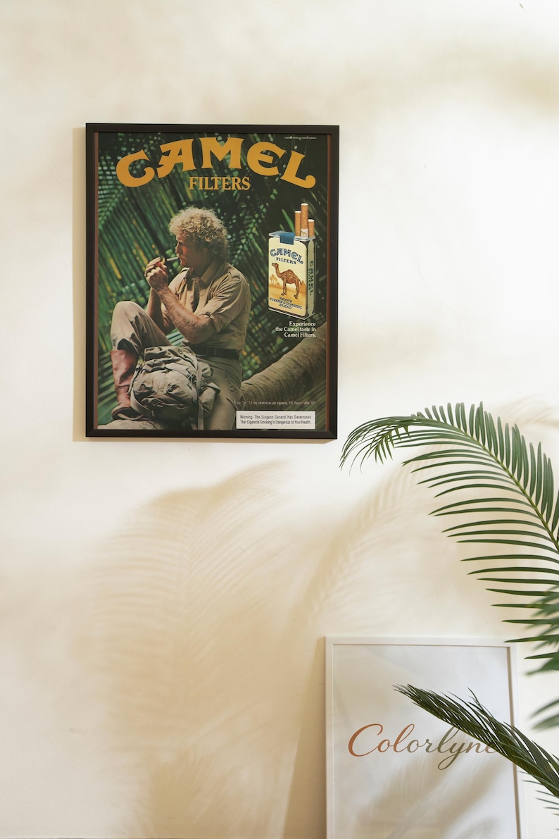 May include: Framed vintage advertisement for Camel Filters cigarettes. The poster features a man smoking a cigarette, a pack of cigarettes, and the Camel Filters logo. The background is a tropical scene with palm leaves.