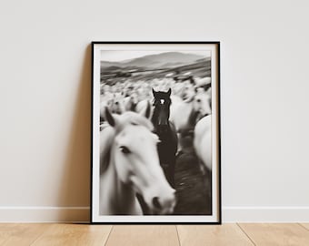 Pôster de Cavalo Preto, Arte de Parede em Preto e Branco, Impressões Fotográficas, Impressão Fotográfica com Qualidade de Museu, Pôster de Cavalo Moderno