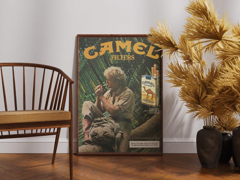 May include: A framed vintage Camel Filters advertisement featuring a man smoking, with the brand's logo and a pack of cigarettes. The poster is set against a white wall, with a wooden chair and decorative plants.