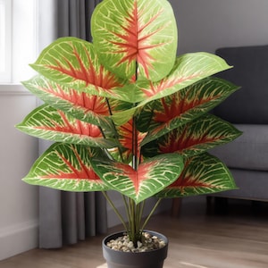 May include: A potted artificial plant with large, heart-shaped leaves. The leaves are primarily green with red and white veining. The plant is in a dark gray pot filled with small stones, set on a wooden floor.