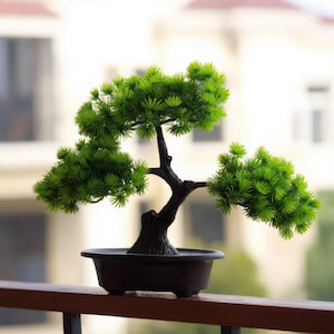 Peut inclure: Un petit bonsaï avec un feuillage vert vif et un tronc brun foncé. L'arbre est planté dans un petit pot ovale brun foncé. Le bonsaï est présenté sur une balustrade en bois, avec un arrière-plan flou d'un bâtiment.