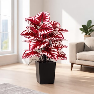 Peut inclure: Une plante artificielle avec des feuilles aux motifs rouge et blanc saisissants. La plante est dans un pot noir carré. Les feuilles présentent un motif veiné unique. La plante est placée dans une pièce à la décoration neutre. Le pot mesure environ 30 cm x 30 cm.