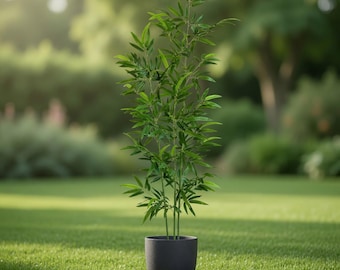 Artificial Bamboo Plant | Fake Indoor Tree | Large Floor Plant Decor | Modern Home Decor | Office Plant | Minimalist Room Decor Gift