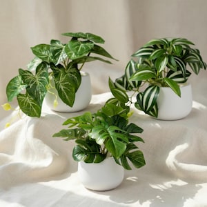 Kuenstliche pflanzen - Etsy.de