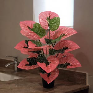 Peut inclure: Plante artificielle décorative avec de grandes feuilles en forme de cœur. Les feuilles sont principalement roses avec des accents verts et noirs mouchetés. La plante est dans un pot noir, posée sur un comptoir marron.