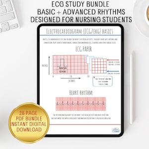EKG Studienführer-Bundle | Grundlegende bis fortgeschrittene Zyklen (PDF Download)
