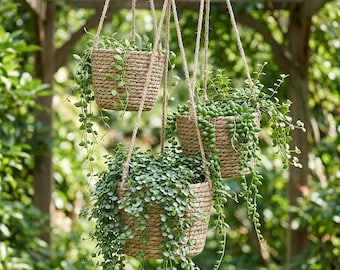 Rattan Hanging Plant Basket Indoor Outdoor Planter, Woven Hanging Flower Pot Holder, Boho Ceiling Planter Basket for Garden Balcony Decor