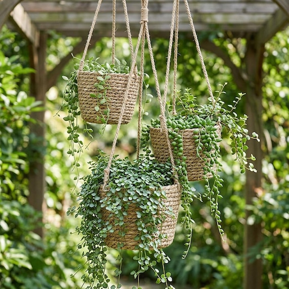 Rattan Hanging Plant Basket Indoor Outdoor Planter, Woven Hanging Flower Pot Holder, Boho Ceiling Planter Basket for Garden Decor