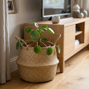 May include: A woven basket containing a plant in a terracotta pot. The basket is made from natural fibres and has two handles. The plant features round, green leaves. The basket is on a wooden floor.