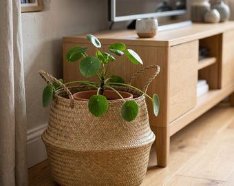 May include: A woven basket with a plant in a terracotta pot. The basket is made of natural fibers and has two handles. The plant has round, green leaves. The basket is sitting on a wooden floor.
