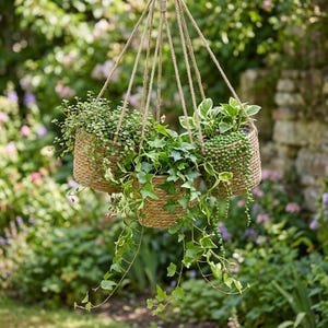 May include: Three hanging woven baskets filled with various green plants. The baskets are suspended by natural rope, creating a layered effect. The plants include trailing vines and lush foliage, set against a blurred garden backdrop.