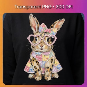 May include: A black hoodie with a cute bunny illustration. The bunny wears heart-shaped glasses, a patchwork dress, and a bow with roses. The bunny has a leopard print pattern. The text "Transparent PNG • 300 DPI" is at the top.