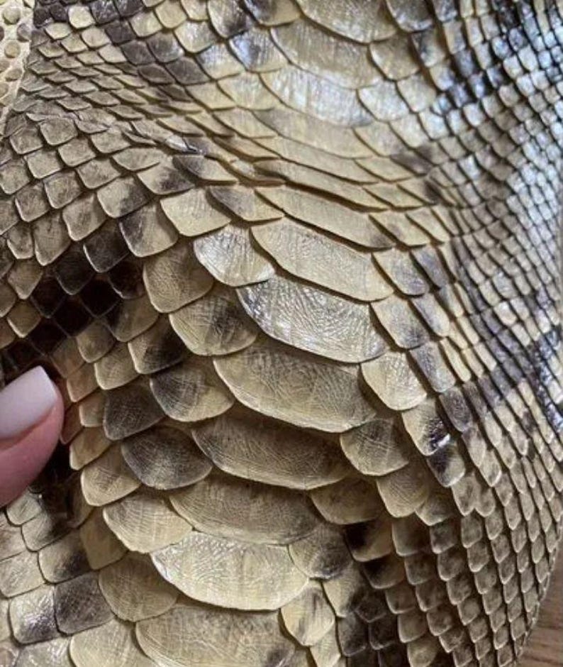 May include: A textured material featuring a repeating pattern of overlapping scales in shades of beige, cream, and dark brown. The surface displays a natural, organic arrangement of individual scale segments with varying tones and subtle depth.