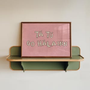 Irish Language Print | Funny Retro Bathroom Art | Tá tú go hálainn