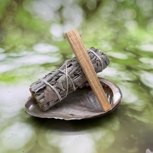 May include: A bundle of dried sage tied with white string, a light brown palo santo stick, and an iridescent abalone shell. The sage bundle and palo santo are resting in the shell, against a blurred green background.