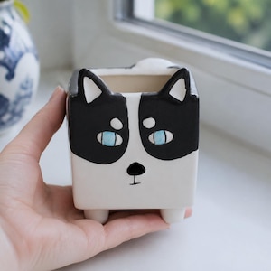 Pode incluir: Um vaso de cerâmica quadrado em forma de cabeça de gato com marcas pretas e brancas. O vaso apresenta duas orelhas pontiagudas, olhos azul-claros, um pequeno nariz preto e quatro pés curtos e arredondados na base para estabilidade.