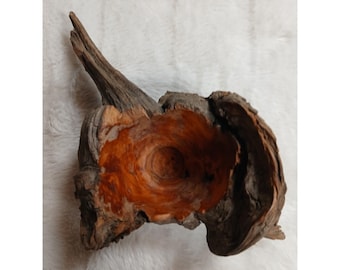 Tigela única esculpida à mão em madeira de raiz, com borda natural, estilo rústico e orgânico.