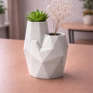 Puede incluir: Una maceta geométrica de hormigón gris claro con dos secciones. Una sección contiene una suculenta verde, la otra delicadas flores blancas. La maceta está sobre una superficie marrón claro.