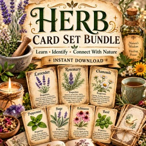 May include: A digital herb card set bundle featuring vintage-style cards with botanical illustrations of lavender, rosemary, chamomile, peppermint, sage, echinacea, and basil. Each card displays the plant name and properties in black text on aged paper.