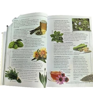 Könnte beinhalten: Offene Buchseiten mit Text und Bildern, die Kräuter zur Linderung der Atemwege beschreiben. Enthält Illustrationen von Pflanzen wie Süßholz, Thymian und Echinacea sowie eine Tasse Tee. Der Text beschreibt die Vorteile jedes Krauts.