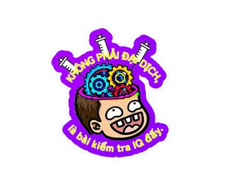 Funny Vietnamese Sticker, Vinyl Laptop Decal, IQ Test Sarcastic Quote, Waterproof Water Bottle Sticker, Vietnamese Language Gift