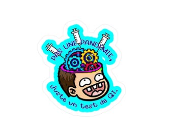 Funny French Sticker, Vinyl Laptop Decal, IQ Test Sarcastic Quote, Waterproof Water Bottle Sticker, French Language Gift
