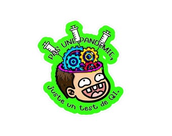 Funny French Sticker, Vinyl Laptop Decal, IQ Test Sarcastic Quote, Waterproof Water Bottle Sticker, French Language Gift