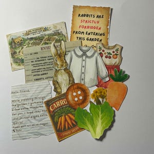 May include: A collection of paper cutouts featuring a rabbit, a carrot, a lettuce leaf, a button, a seed packet, and a child's outfit. There is also a map, a note, and a sign that reads "Rabbits are strictly forbidden from entering this garden."