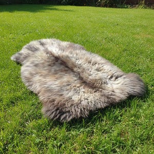 May include: A gray and brown sheepskin rug lies on green grass. The rug has a natural, irregular shape and a thick, shaggy texture. The colors blend together, creating a mottled appearance. The rug is outdoors in natural sunlight.