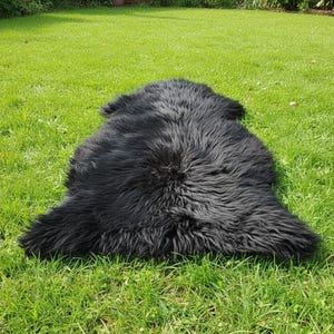 May include: A black sheepskin rug lies on a bed of green grass. The rug has a natural shape with a thick, shaggy texture. The dark color of the rug contrasts with the bright green of the grass.