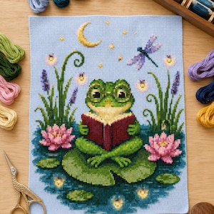 Puede incluir: Un bordado de punto de cruz sobre tela azul claro que muestra una rana verde con gafas leyendo un libro rojo sobre un nenúfar. La escena incluye flores de loto rosas, juncos verdes, una luna creciente amarilla y una libélula morada.