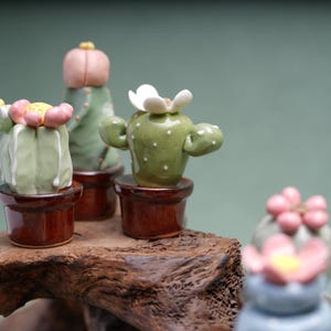 Decorazione a forma di cactus in ceramica fatta a mano • Mini pianta in vaso, regalo per gli amanti dei cactus
