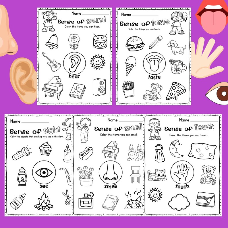 Five Senses | Cut and Paste, Coloring, Matching | No Prep Science ...