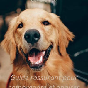 Könnte beinhalten: Nahaufnahme eines Golden Retriever-Hundes mit glücklichem Gesichtsausdruck, offenem Maul und sichtbarer Zunge. Der Hund hat hellbraunes Fell. Der Text auf Französisch lautet: „Mein Hund mag es nicht, allein zu sein“ und „Beruhigender Leitfaden zum Verständnis und zur Linderung von Trennungsangst“.