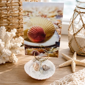 May include: A vertical rectangular photograph featuring a close-up of various seashells, held upright by a gold-toned circular wire stand. The base of the stand is a white seashell filled with sand and three small, distinct seashells.