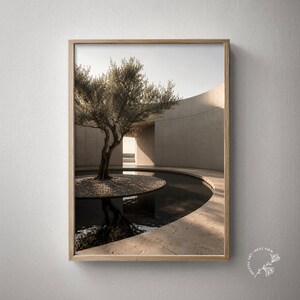 Lámina con diseño de patio circular y reflejo de olivo en el estanque (descarga digital)